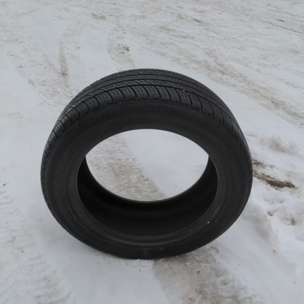 Center for summer tiger paw tires buy uni Royal